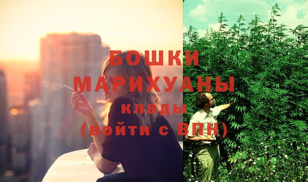 прущие грибы Инсар