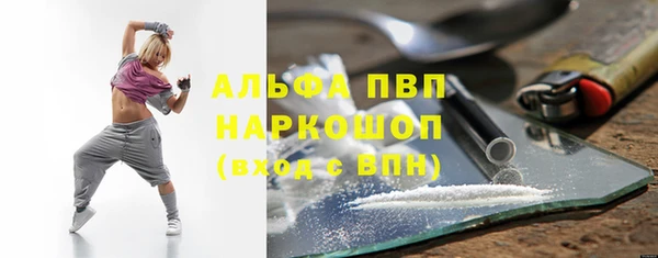 прущие грибы Инсар