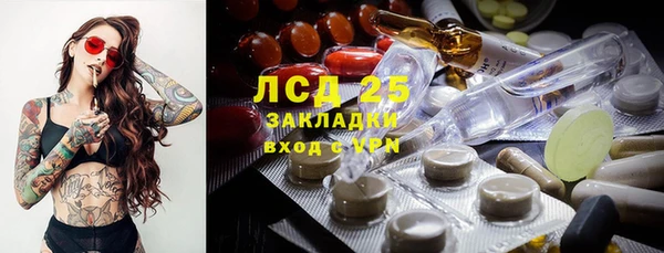 прущие грибы Инсар